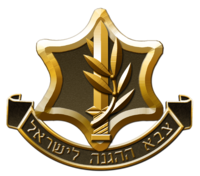 ביטול הדממת פסח 2012