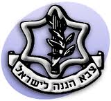 התחייבות לא להצביע עבור פוליטיקאים שלא מקדמים שוויון בנטל