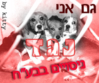 נגד ניסוים והתעללות בבעלי חיים