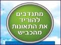 עצומה להגברת האכיפה בכבישים