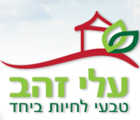 נותנים לנוער להשפיע
