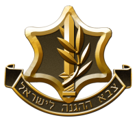 הפיכת צה&quot;ל לצבא מקצועי