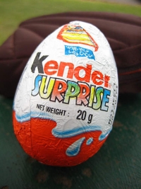 החזרת ביצי הקינדר הישנות לארץ (kinder surprise)