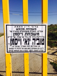 כן! הבא להורגך השכם להורגו.