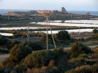 מתגייסים להצלת רכס הכורכר בעתלית