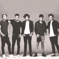 עצומה להבאת הלהקה הבריטית \'One Direction\' לארץ
