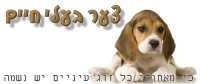 תנו לחיות לחיות!