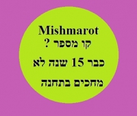 בקשה ממשרד התחבורה לקו אוטובוס שעובר בקיבוץ משמרות