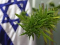 מעשני קנאביס אינם עבריינים פליליים!