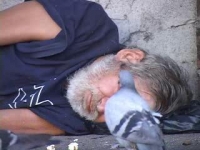עצומה למען הומלסים ברחובות