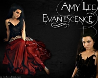 להביא את Amy Lynn Lee לארץ