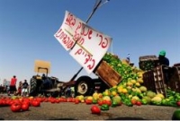 שירות לאומי בחקלאות