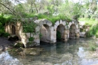 קרקע חינם לצאצאי הלוחמים