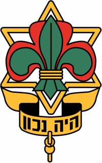 ששישיסטים יוכלו לצאת בתור מנהלה/צופיות/מרכז הדרכה לטיולים הנהגתיים!