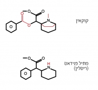 להוציא את סם הריטלין ודומיו מחוץ לחוק.