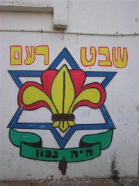מצילים את שבט רעם!