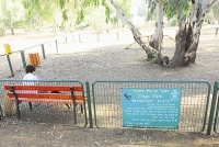 גינת כלבים בקרית אתא