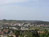 הצילו את יער גבעת רם
