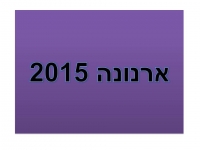 לא להעלאת הארנונה, כן לתוכנית כלכלית מקצועית