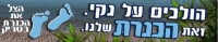 הצל את הכנרת
