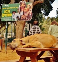 גינת כלבים בשכונת רמות צהלה, תל אביב