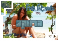 יצירת התוכנית אביגיל פרל היא הרווקה