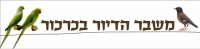 משבר הדיור בכרכור