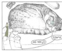 יועברו רפי וספגטי למוסף הארץ