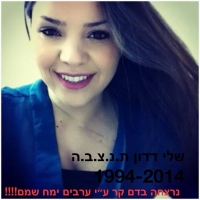 עונש מוות לרוצחי שלי דדון