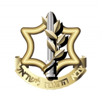פרופיל 21