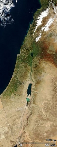 פניה לממשלת בריטניה לביטול הדרישה לחלוקה נוספת של ארץ ישראל