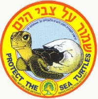 הצלת צבי הים