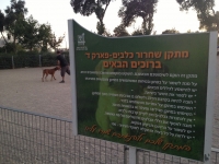 dog park B7
