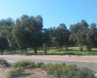 למנוע בנייה בפארק בן גוריון