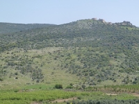 בואו נציל את הטבע שנשאר לנו!- היכנס אם אכפת לך מהסביבה