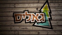 גאליס בYES