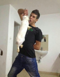 די להתעללות בבעלי חיים