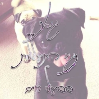 גם אני נגד התעללויות בבעלי חיים