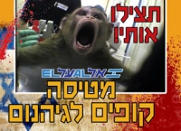 דורשים את התחייבותה הרשמית של אל על להפסקה מיידית של הטסת קופים מחוות מזור
