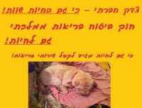 שירותי רפואה לחיות במימון המדינה