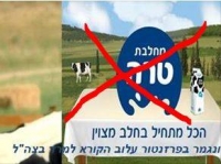 חרם על טרה 
