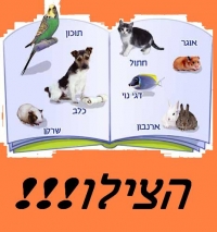 עצומה נגד היתעללות בבעלי חיים!!!