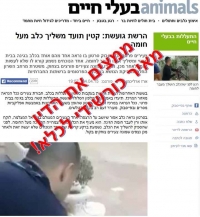 ממצים את הדין עם מאיר כורשידי
