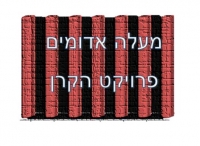 נגד פרויקט הקרוי &quot;פינוי בינוי&quot; 