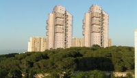 בבל - אסון סביוני הכרמל !