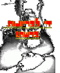 די לבריונות ברשת!