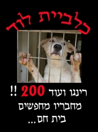 להחזיר את ד\\\&quot;ר אור רז לכלבייה של לוד 