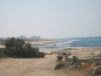 מצילים את חוף אכזיב