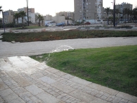 בזבוז מים של ממטרות בכיכרות, איי תנועה ועוד.