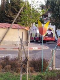 מניעת חלוקת ממתקים ושתייה מחוץ לבתי ספר ובגן הציבורי מטעם חב&quot;ד בישוב אזור